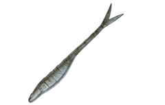 Googan Baits Dart - 7"